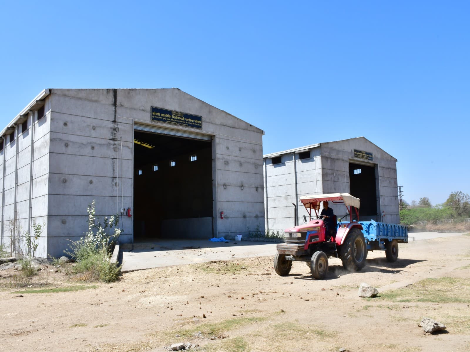 Gau Seva at Suri Prem Jeevraksha Kendra