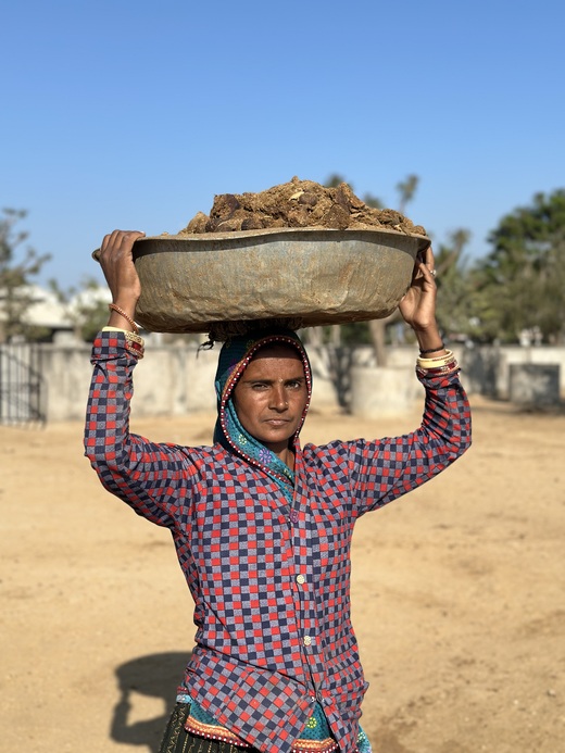 Local staff caring for cows