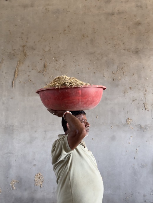 Youth engaged in seva