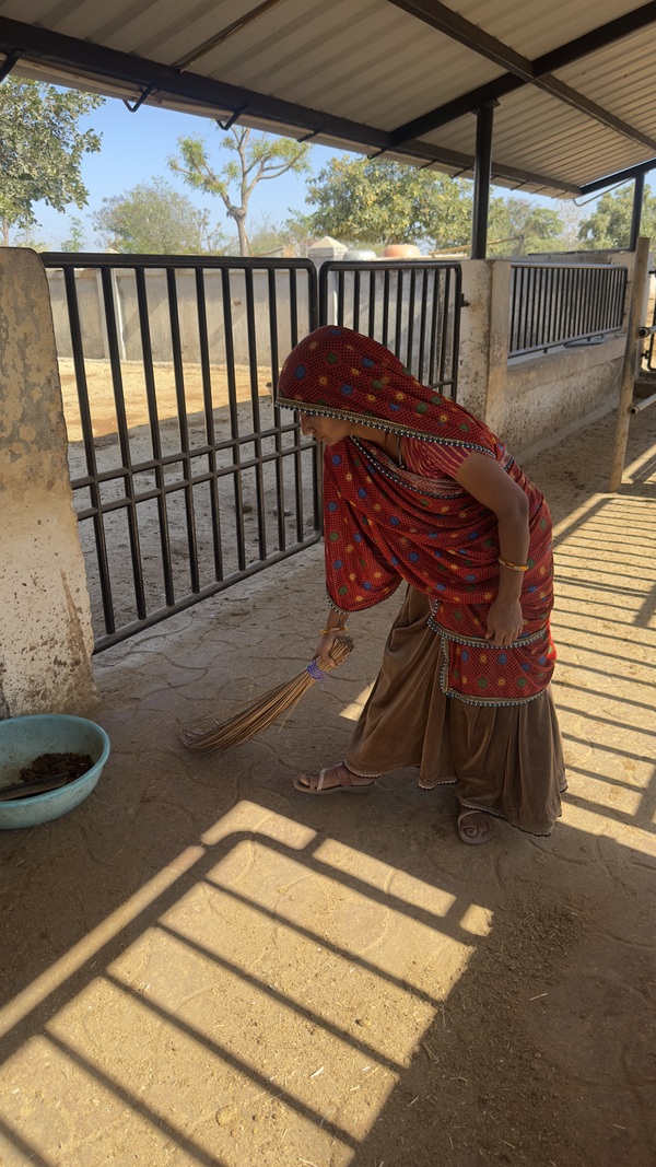 Staff cleaning animal sheds