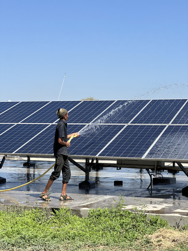 Washing and scrubbing the feeding area